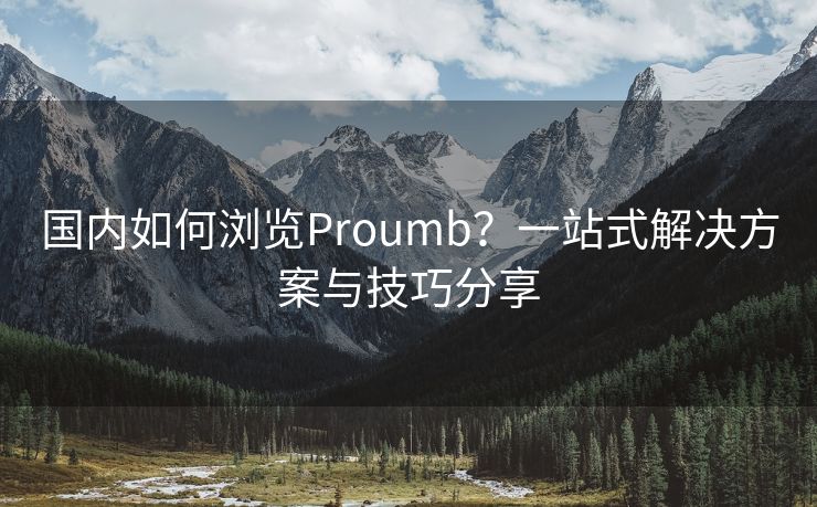 国内如何浏览Proumb？一站式解决方案与技巧分享