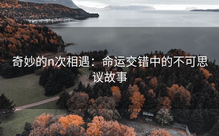奇妙的n次相遇：命运交错中的不可思议故事