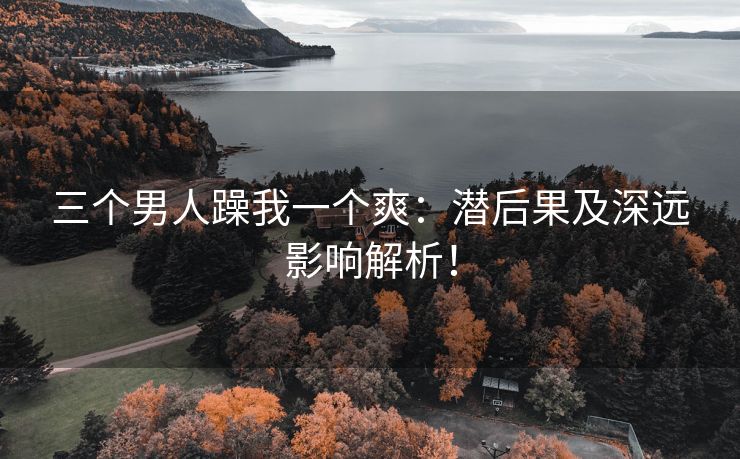 三个男人躁我一个爽：潜后果及深远影响解析！