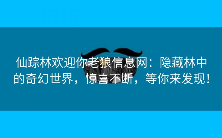 仙踪林欢迎你老狼信息网：隐藏林中的奇幻世界，惊喜不断，等你来发现！