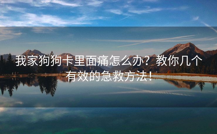 我家狗狗卡里面痛怎么办？教你几个有效的急救方法！