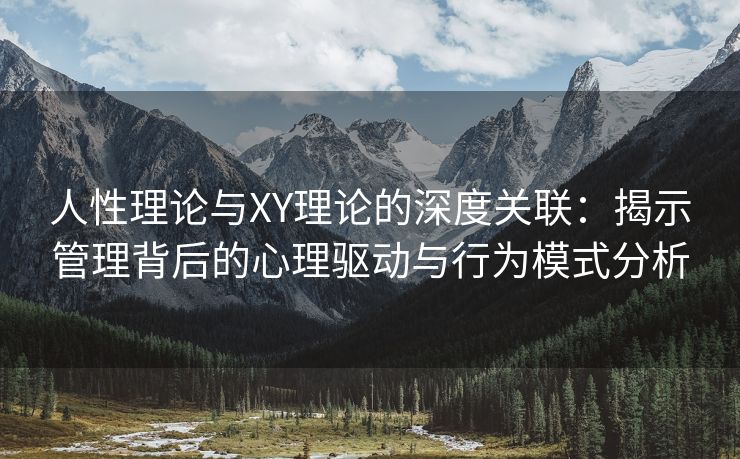人性理论与XY理论的深度关联：揭示管理背后的心理驱动与行为模式分析