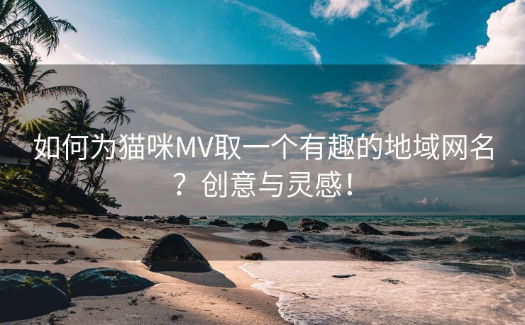 如何为猫咪MV取一个有趣的地域网名？创意与灵感！