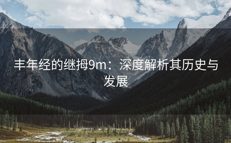 丰年经的继拇9m：深度解析其历史与发展