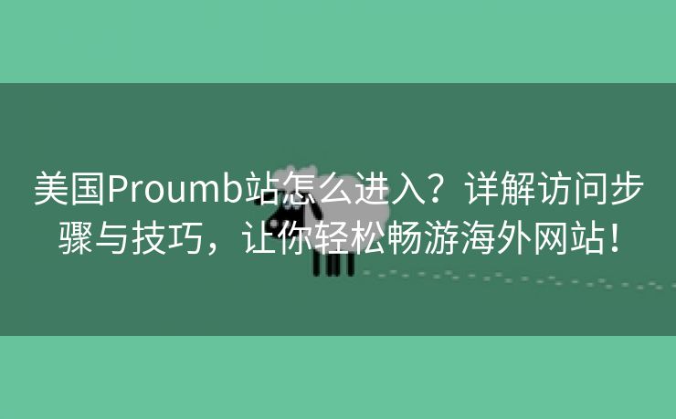 美国Proumb站怎么进入？详解访问步骤与技巧，让你轻松畅游海外网站！