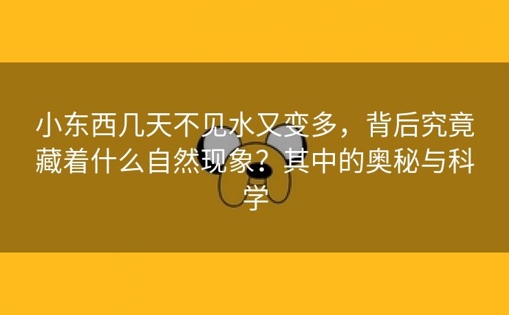 小东西几天不见水又变多，背后究竟藏着什么自然现象？其中的奥秘与科学