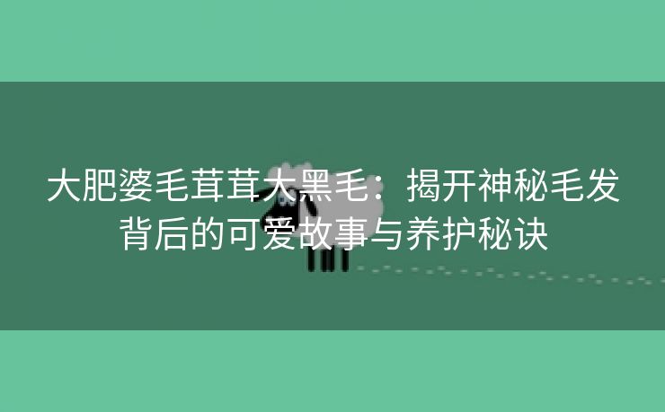 大肥婆毛茸茸大黑毛：揭开神秘毛发背后的可爱故事与养护秘诀