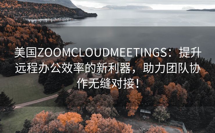 美国ZOOMCLOUDMEETINGS：提升远程办公效率的新利器，助力团队协作无缝对接！