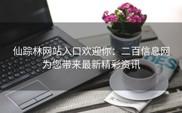 仙踪林网站入口欢迎你：二百信息网为您带来最新精彩资讯