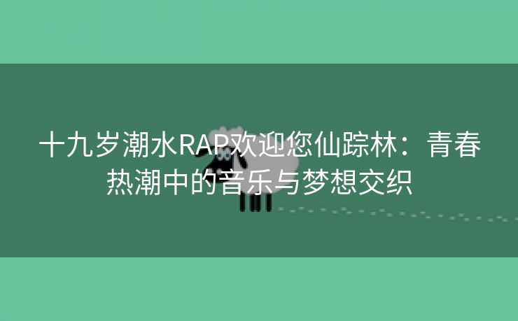 十九岁潮水RAP欢迎您仙踪林：青春热潮中的音乐与梦想交织