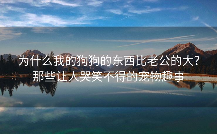 为什么我的狗狗的东西比老公的大？那些让人哭笑不得的宠物趣事