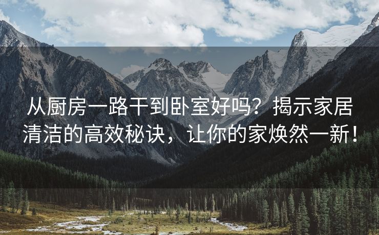从厨房一路干到卧室好吗？揭示家居清洁的高效秘诀，让你的家焕然一新！