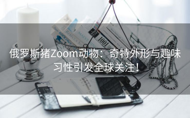 俄罗斯猪Zoom动物：奇特外形与趣味习性引发全球关注！