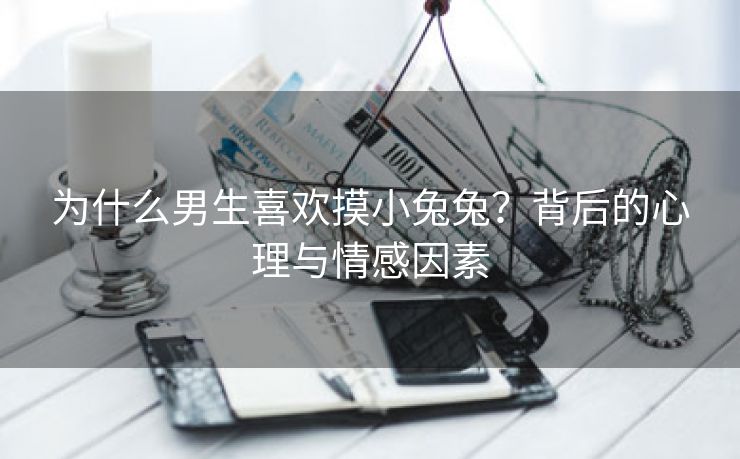 为什么男生喜欢摸小兔兔？背后的心理与情感因素