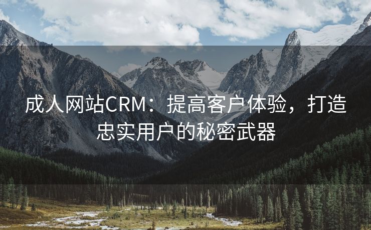 成人网站CRM：提高客户体验，打造忠实用户的秘密武器