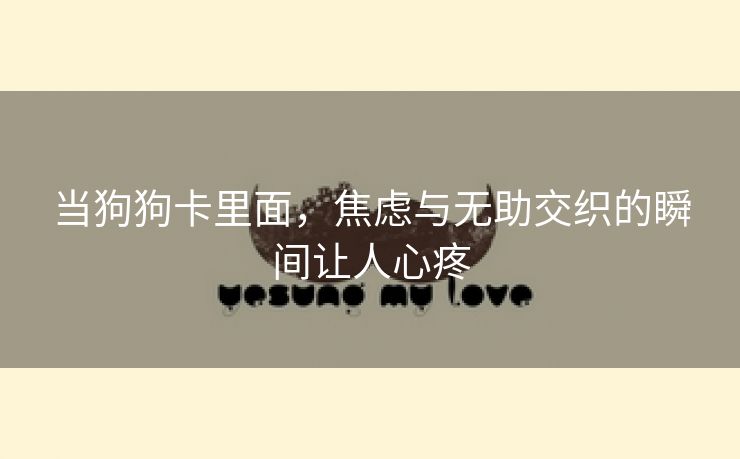 当狗狗卡里面，焦虑与无助交织的瞬间让人心疼