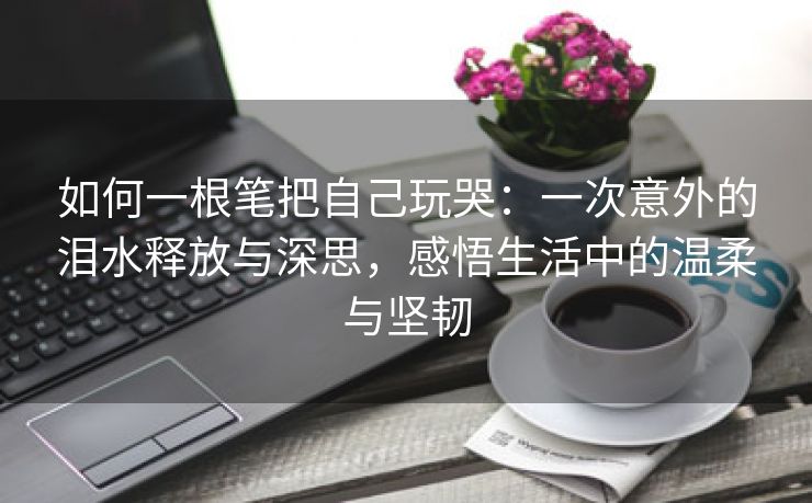 如何一根笔把自己玩哭：一次意外的泪水释放与深思，感悟生活中的温柔与坚韧