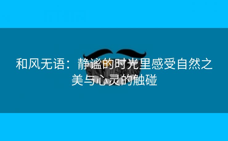 和风无语：静谧的时光里感受自然之美与心灵的触碰