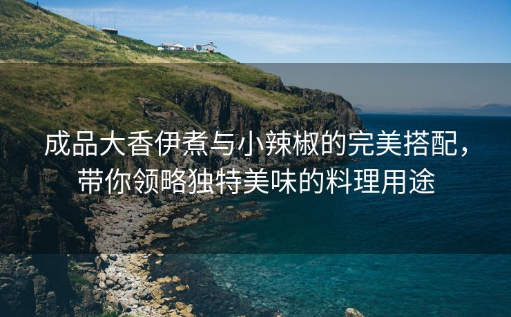 成品大香伊煮与小辣椒的完美搭配，带你领略独特美味的料理用途