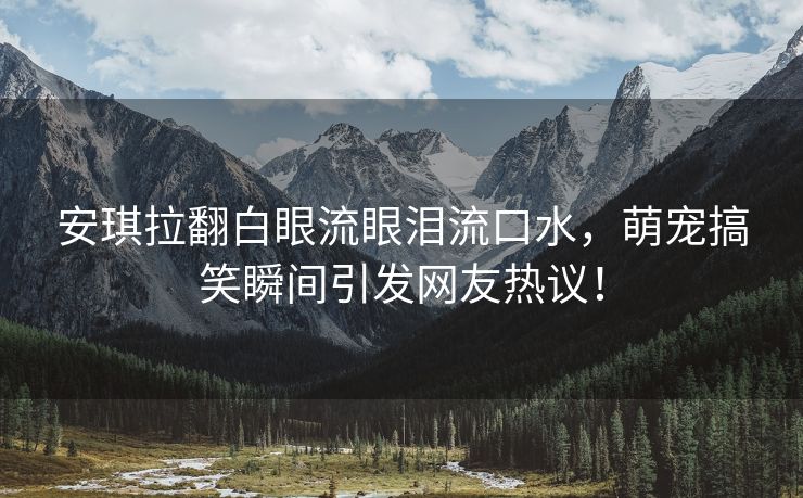 安琪拉翻白眼流眼泪流口水，萌宠搞笑瞬间引发网友热议！