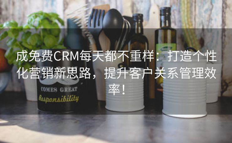 成免费CRM每天都不重样：打造个性化营销新思路，提升客户关系管理效率！