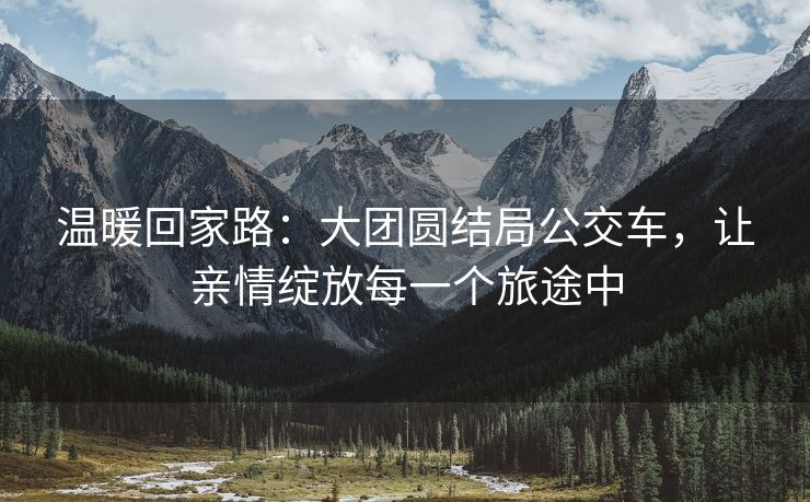 温暖回家路：大团圆结局公交车，让亲情绽放每一个旅途中