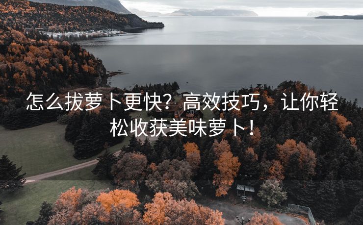 怎么拔萝卜更快？高效技巧，让你轻松收获美味萝卜！