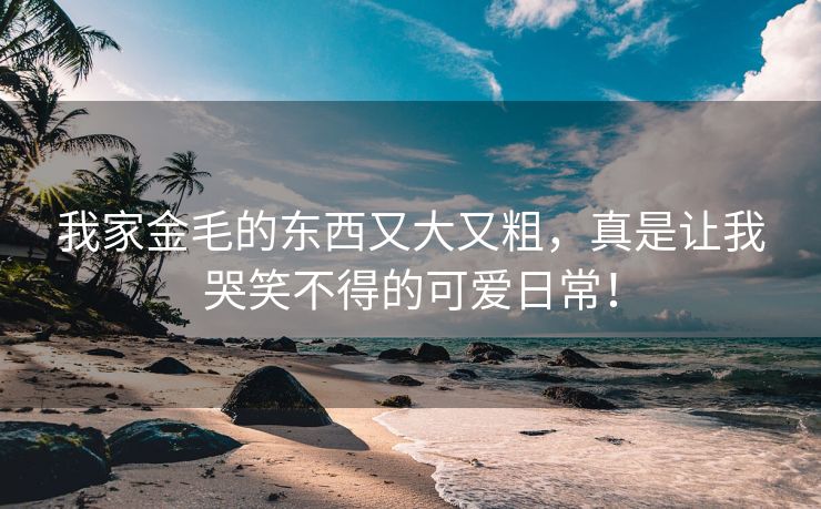 我家金毛的东西又大又粗，真是让我哭笑不得的可爱日常！