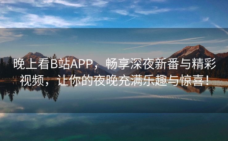 晚上看B站APP，畅享深夜新番与精彩视频，让你的夜晚充满乐趣与惊喜！