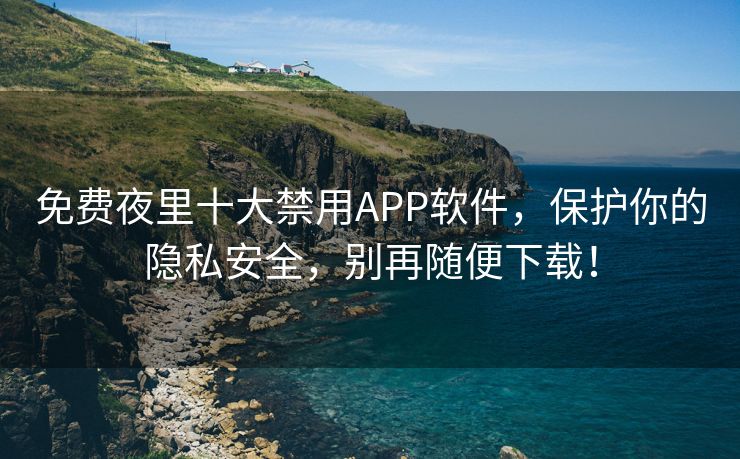 免费夜里十大禁用APP软件，保护你的隐私安全，别再随便下载！