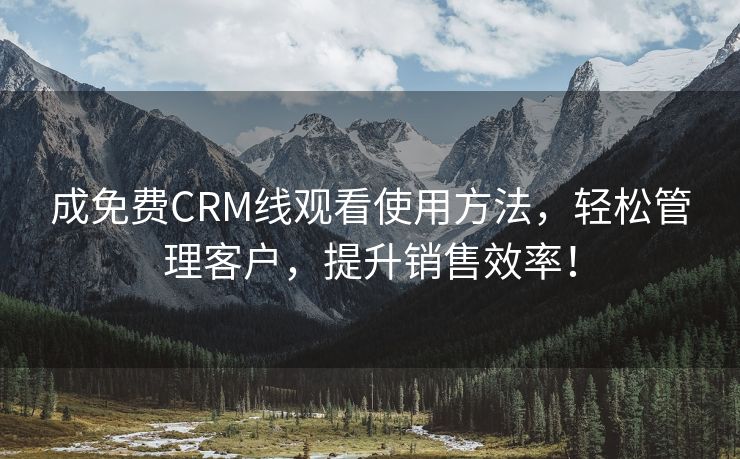 成免费CRM线观看使用方法，轻松管理客户，提升销售效率！