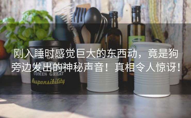 刚入睡时感觉巨大的东西动，竟是狗旁边发出的神秘声音！真相令人惊讶！