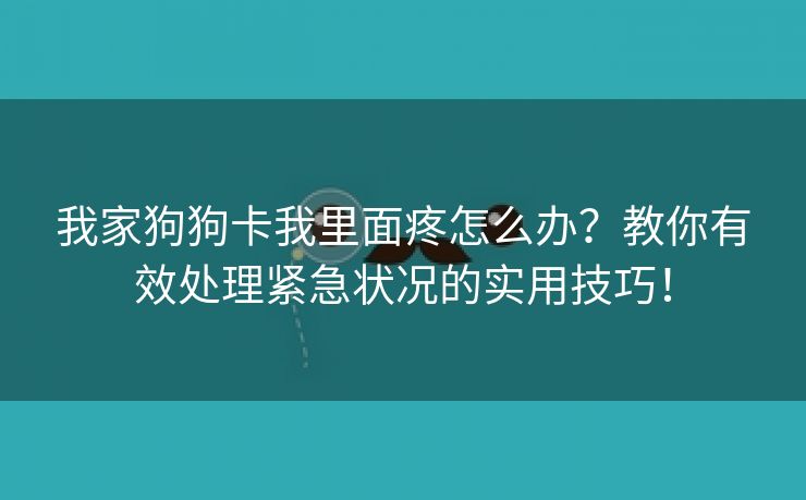 我家狗狗卡我里面疼怎么办？教你有效处理紧急状况的实用技巧！